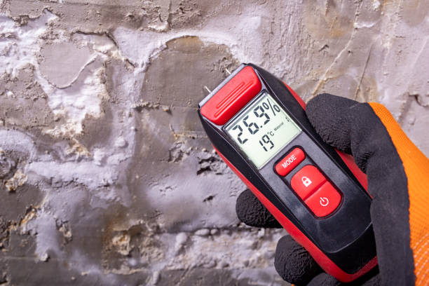 Best Mold Testing  in Pine Bluff, AR